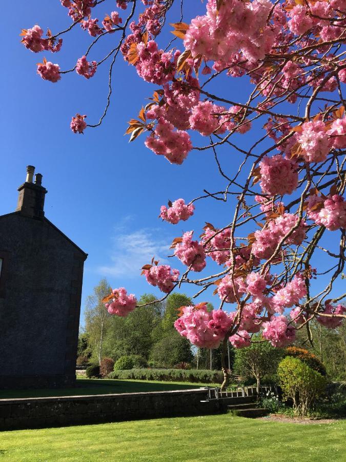 Preston House B&B Chathill Dış mekan fotoğraf